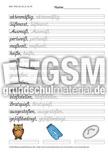 DSS_2S_Bu_ß_Nr_08.pdf